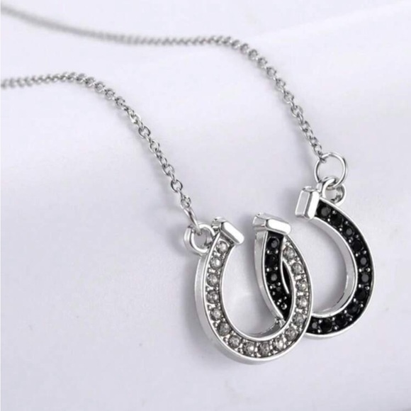 Elegant Silver and Black Horseshoe Necklace - Picture 1 of 1